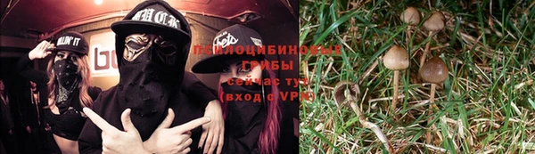 метадон Богородицк