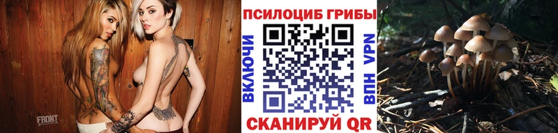 это формула  Кондрово  Галлюциногенные грибы мицелий 